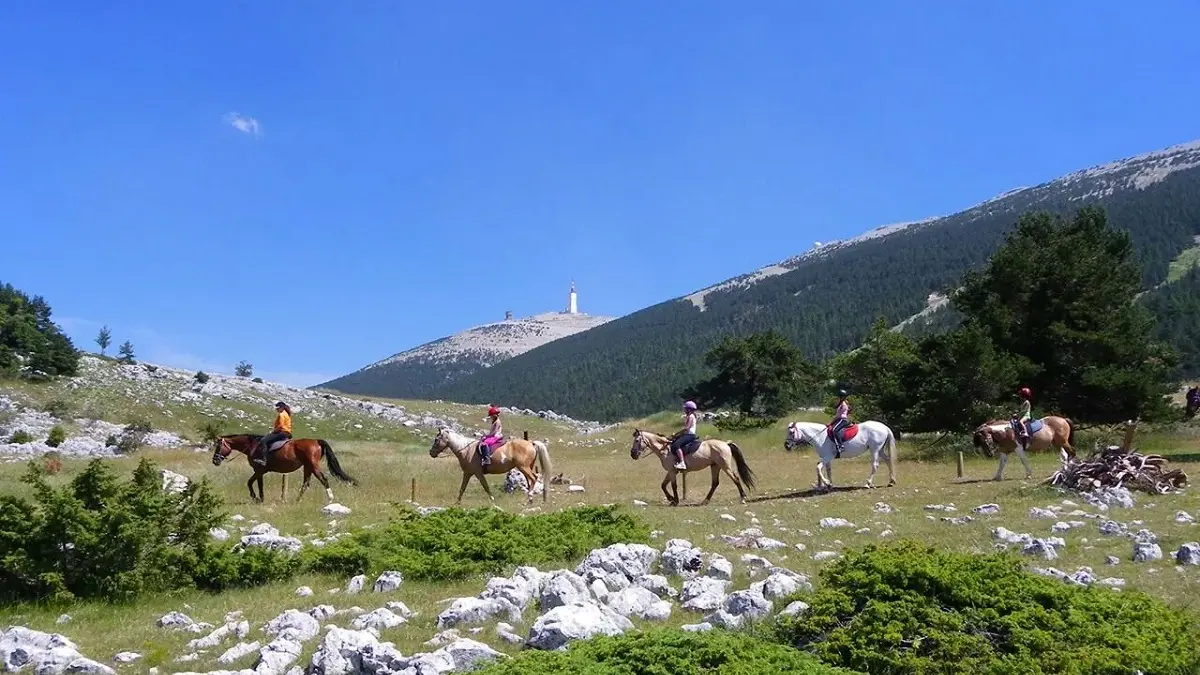 Activités été > Balade à cheval