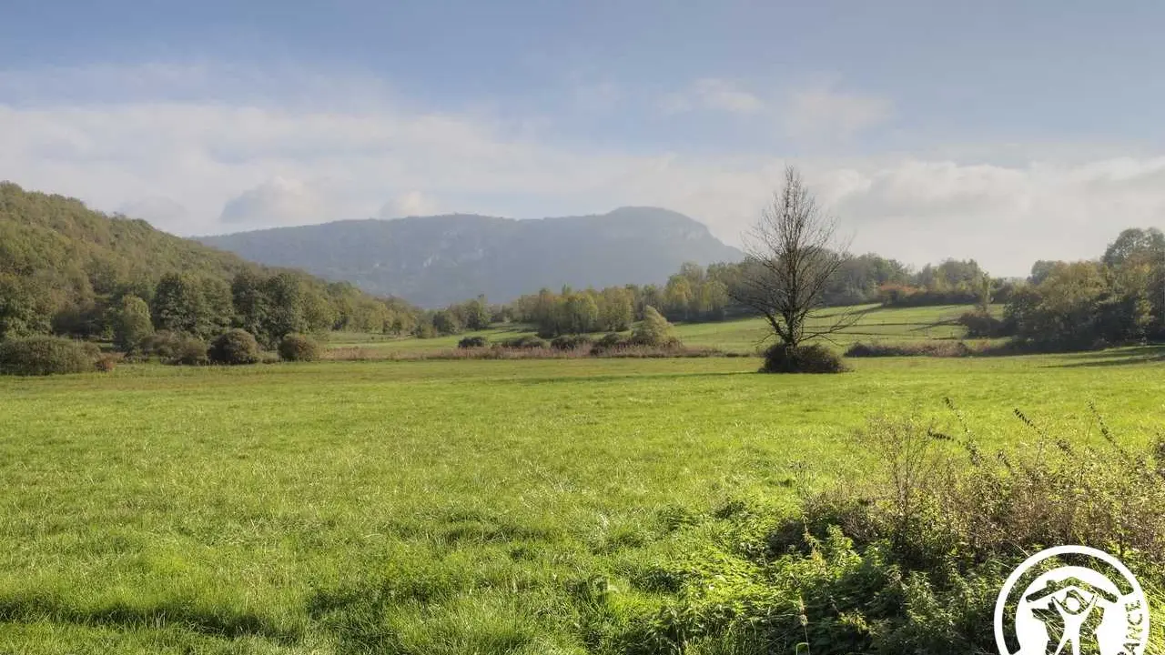 Vue en face du gîte
