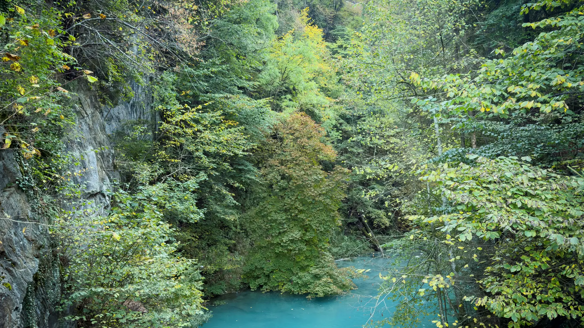 Le Bonnant en amont du pont