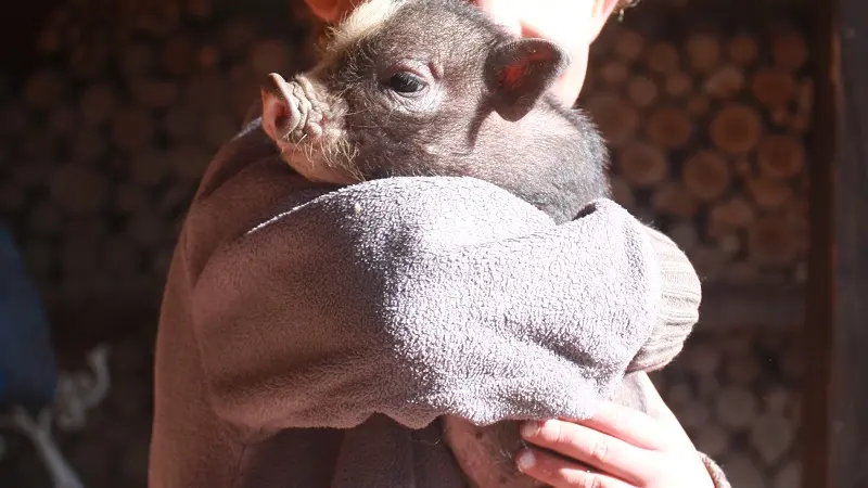 La Ferme du Col JARJAYES