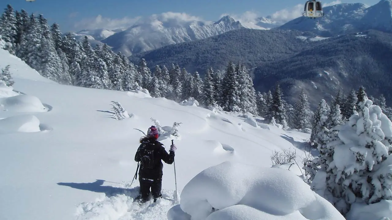 Raquettes à neige