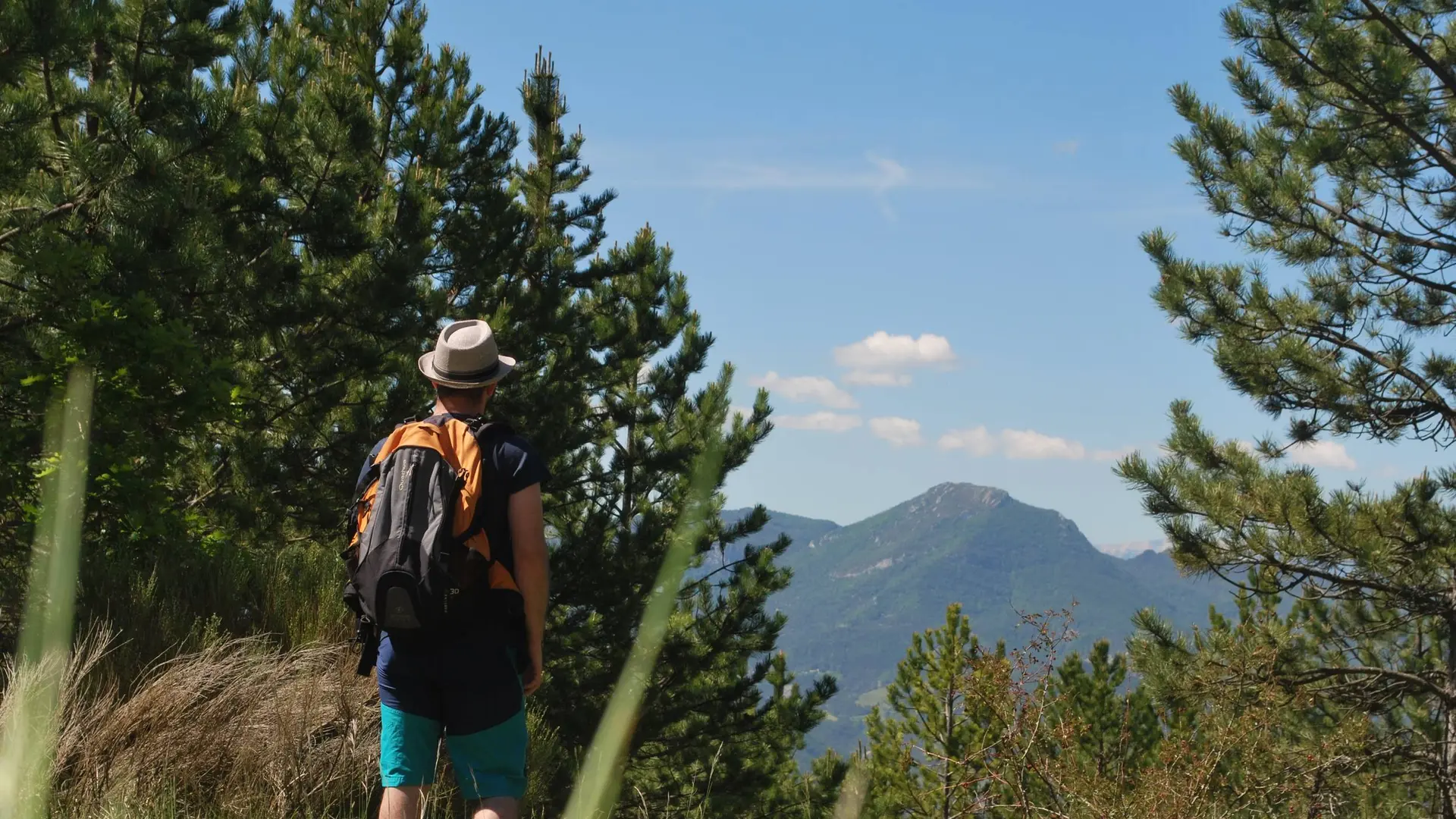 Paysages du Rosanais