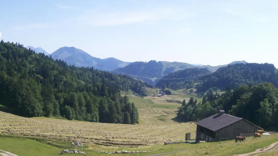 Plateau de Plaine Joux en été à 2.5km du Gite