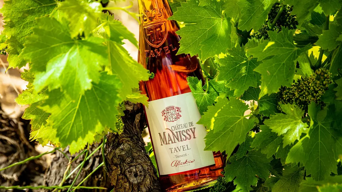 La cuvée rosé de Tavel Trinité du Château de Manissy dans les vignes