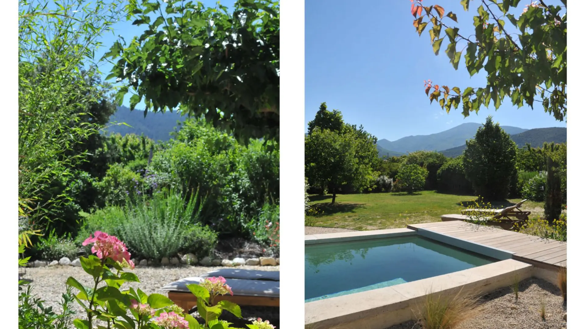 Piscine et Jardin