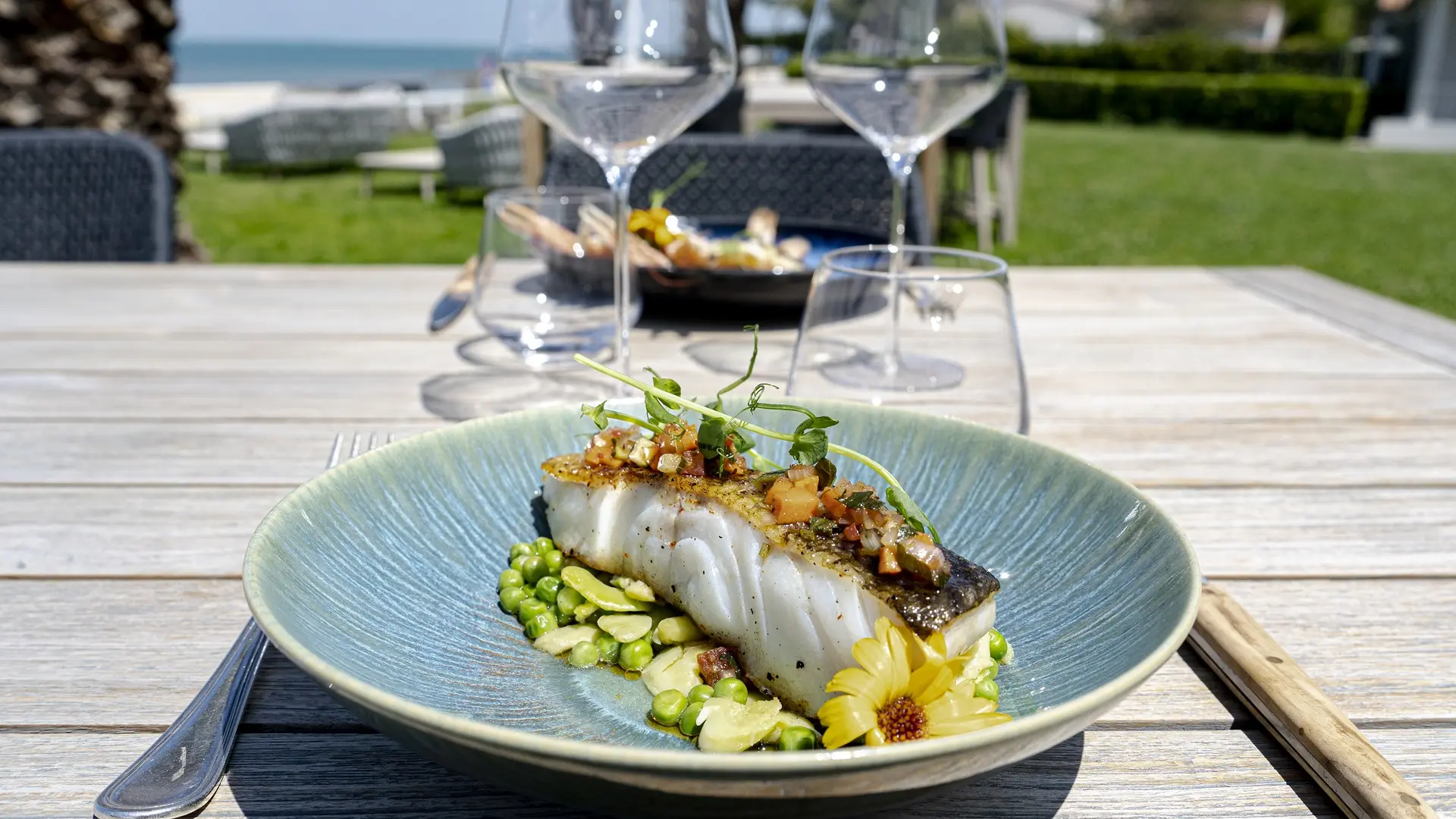 Lunch on the terrace