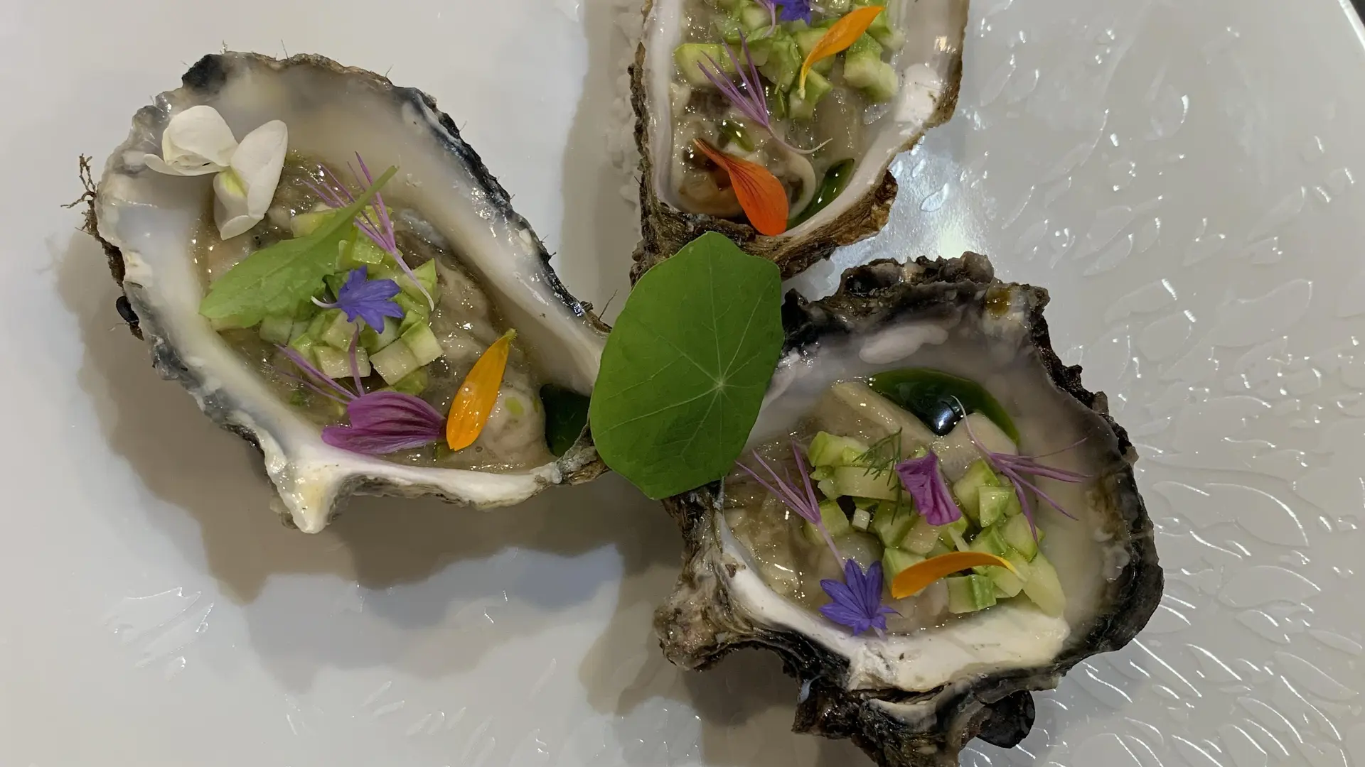 Couleurs de Shimatani