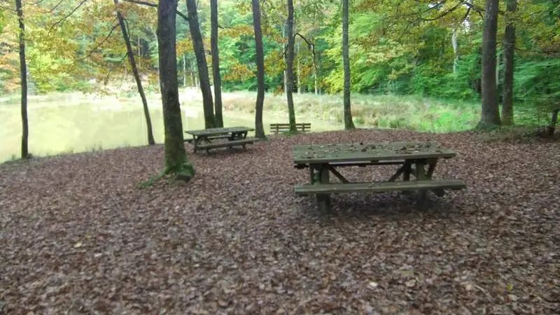 Aire de pique-nique des étangs de la Forêt de Lespinasse