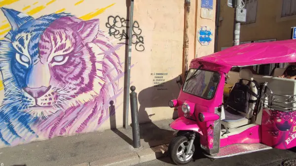 Balade en tuk tuk autour de Notre Dame et petit Panier