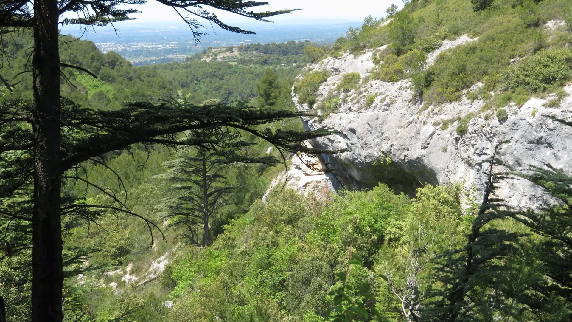 Vallon des Esperacons