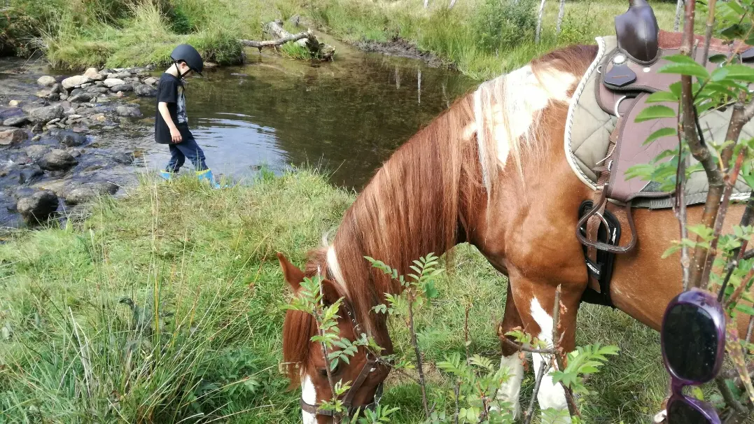 Cheval