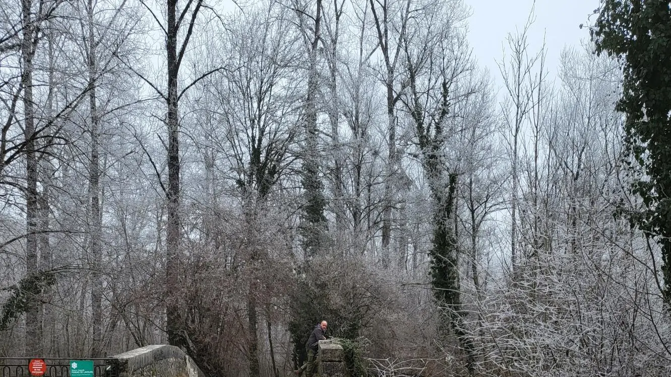 le pont d'Aignoz entrée dans la faune et la flore de la Réserve Naturelle du Marais de Lavours!
En hivers dans le marais les animaux vivent au ralenti.. vous pourrez  suivre leurs traces sur le sentier sur pilotis... une merveille!