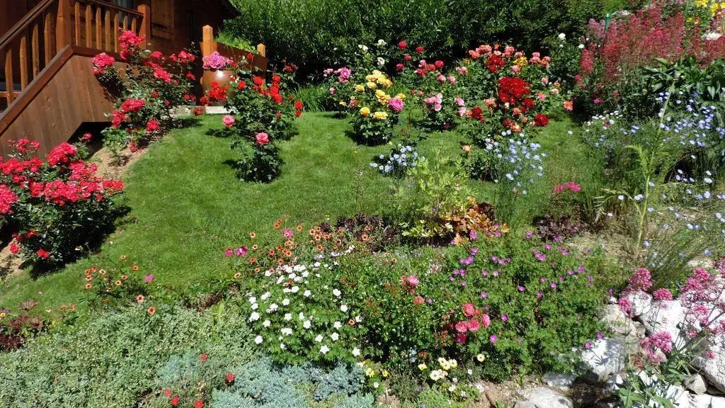 Les fleurs du chalet