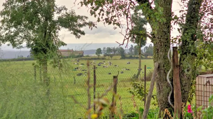 Campagne vue de l'entrée du gîte
