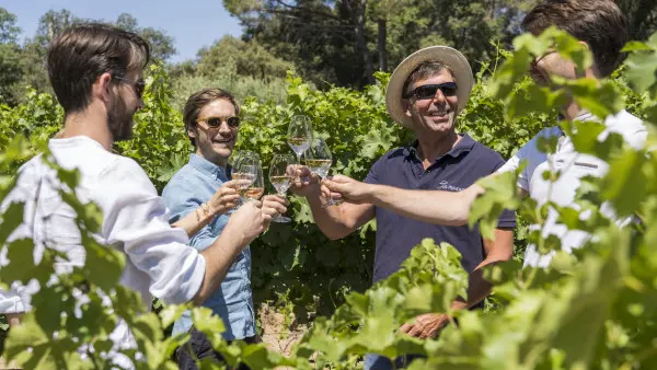 Les Vignobles au Pays de Cézanne