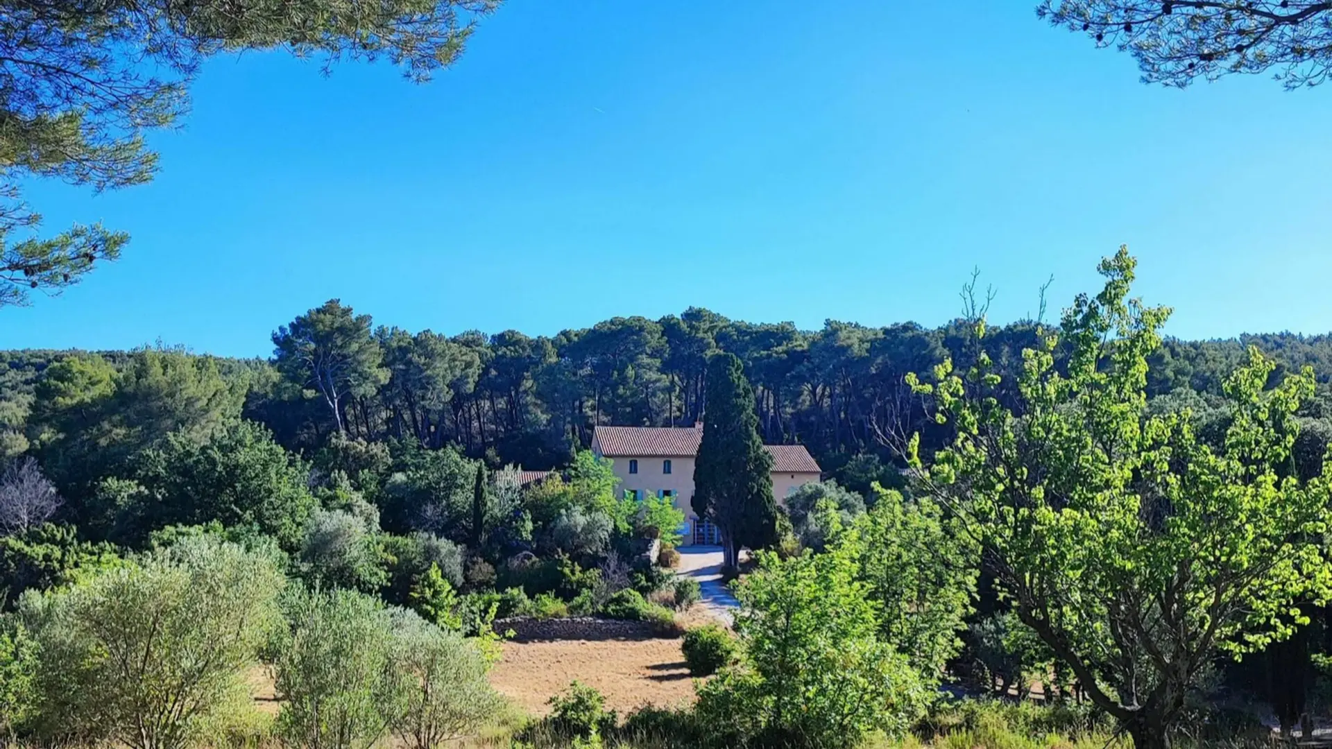 Vue sur la Maison de la Nature posée dans un écrin de verdure