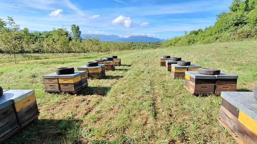Les Ruchers des Archers