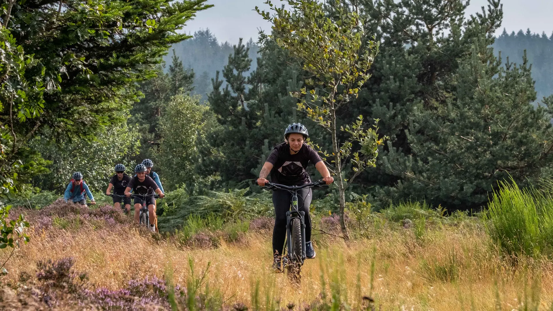 Plateau de la Verrerie