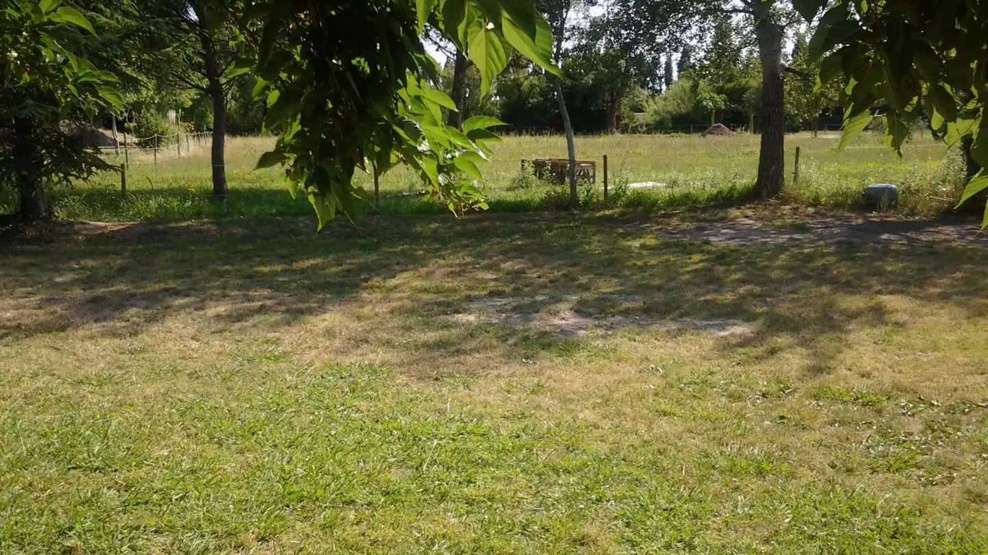 DEVANT LE GITE UN GRAND ESPACE DE VERDURE OU VOUS POURREZ VOUS DETENDRE OU JOUER AVEC LES ENFANTS