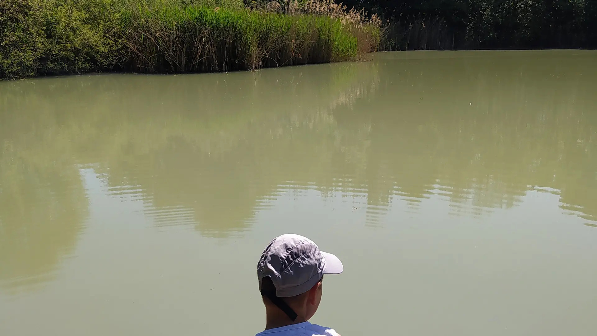Etang de Colovrex