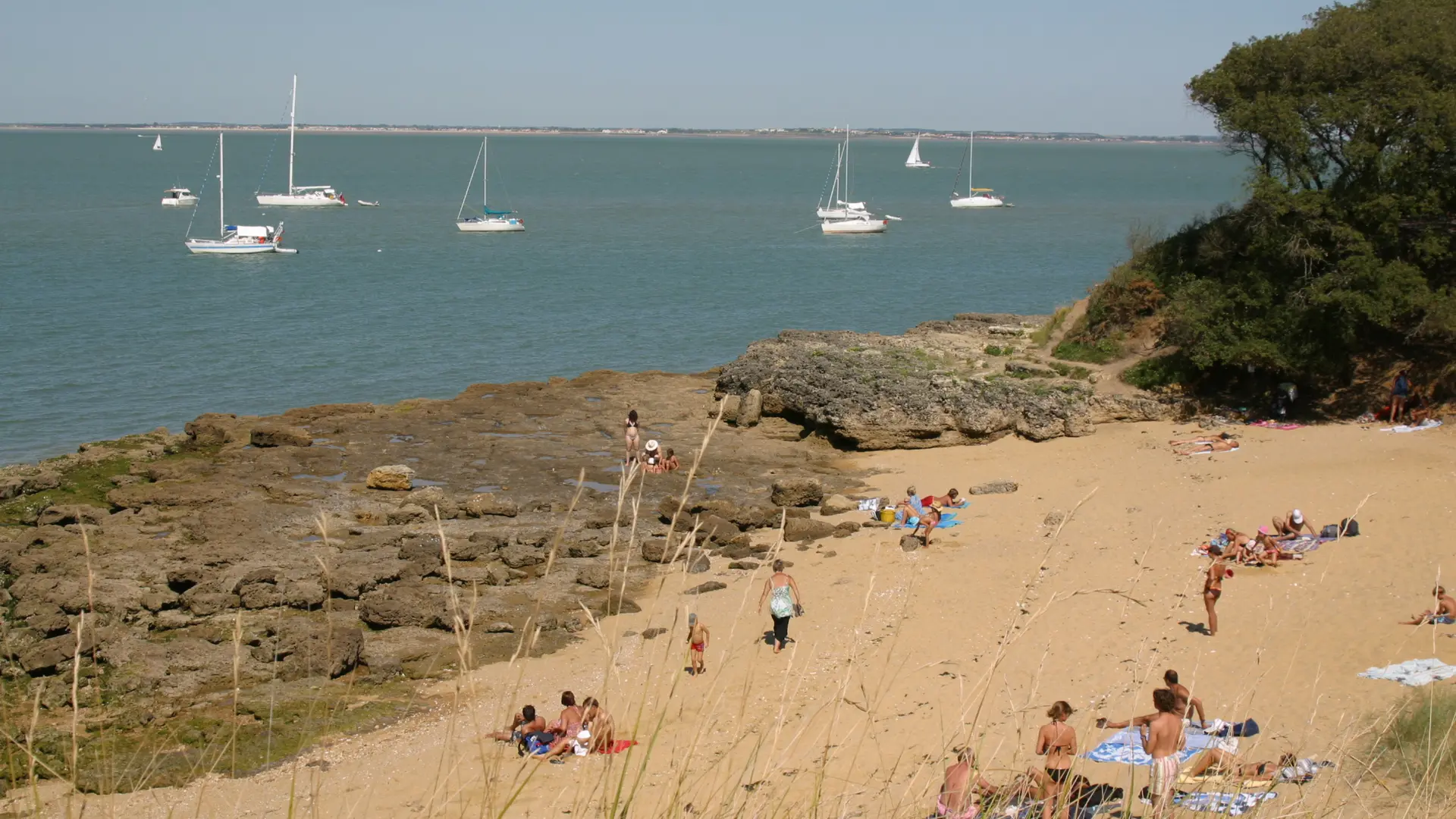 Petite plage de sable sur l'île d'Aix