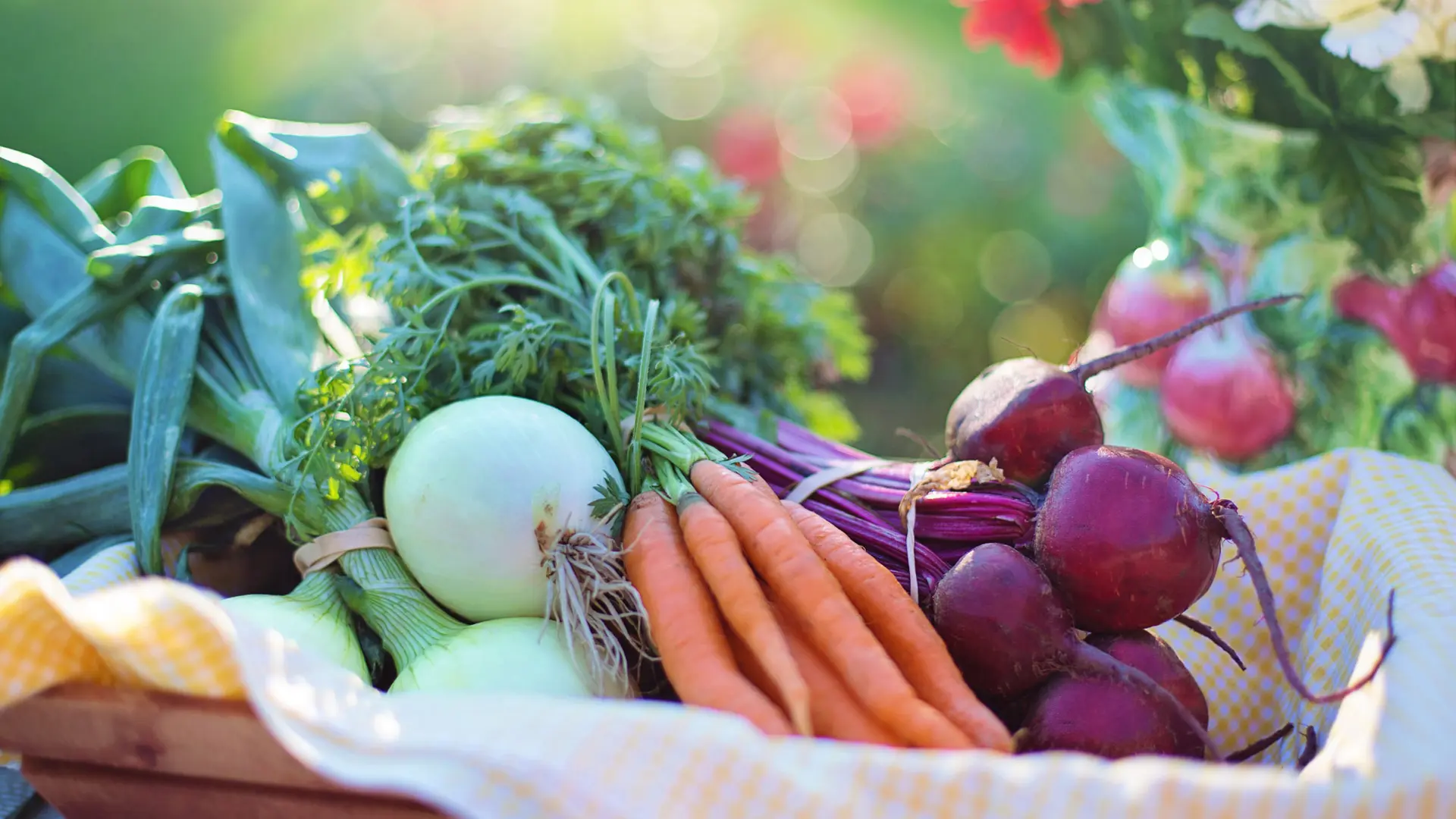 Panier de légumes, Montesson