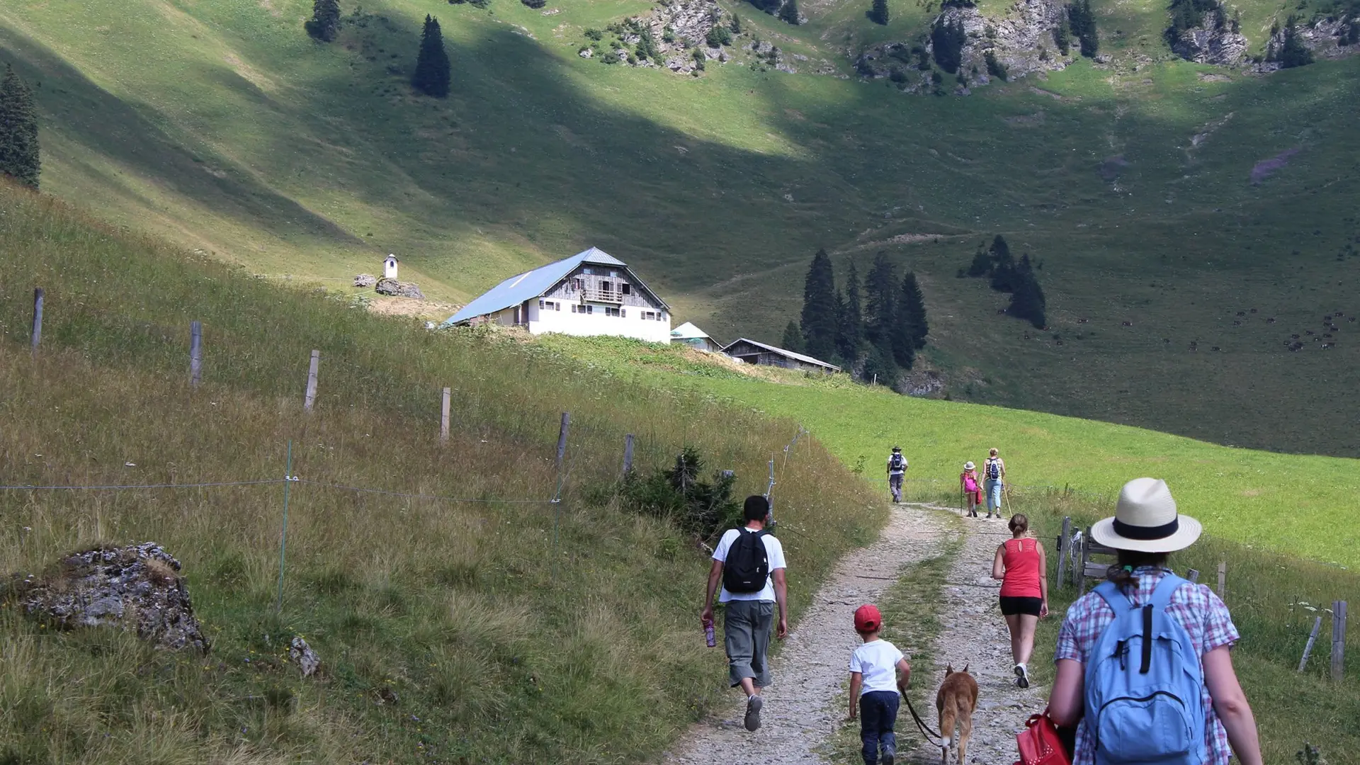 Goûter à l'alpage