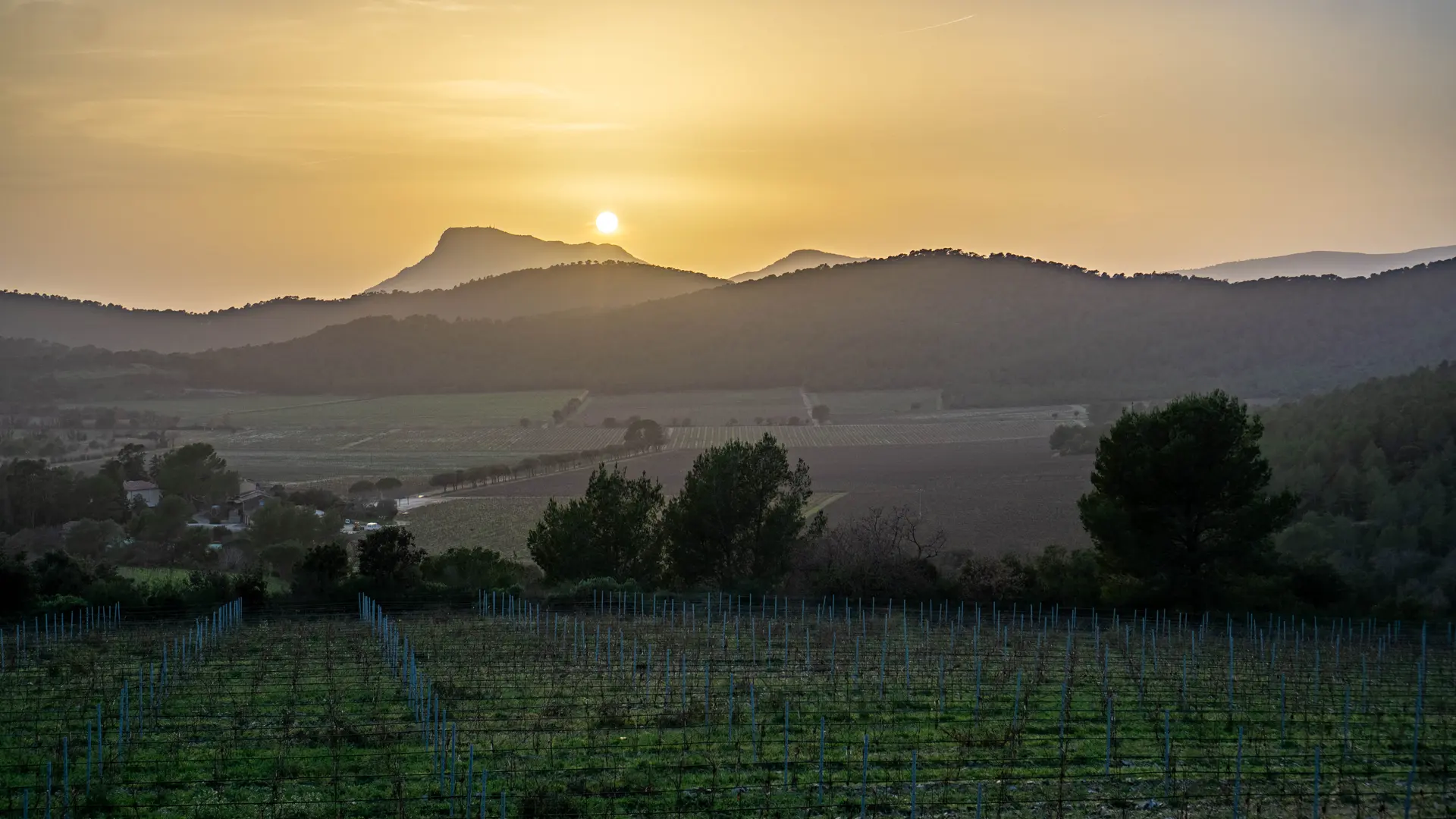 Une des plus grandes propriétés de Provence à Pierrefeu du Var