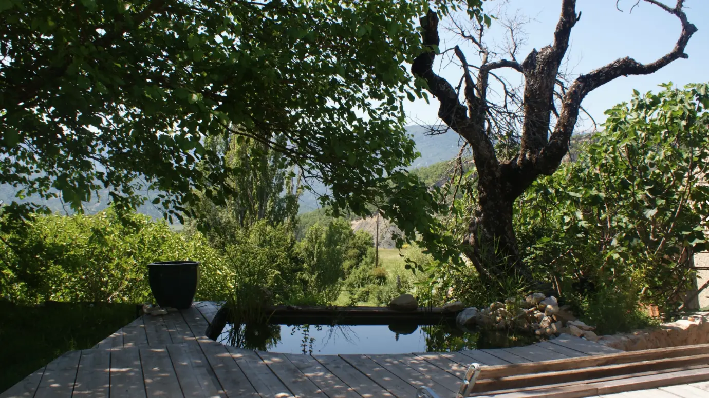 Mas du Figuier à Bevons