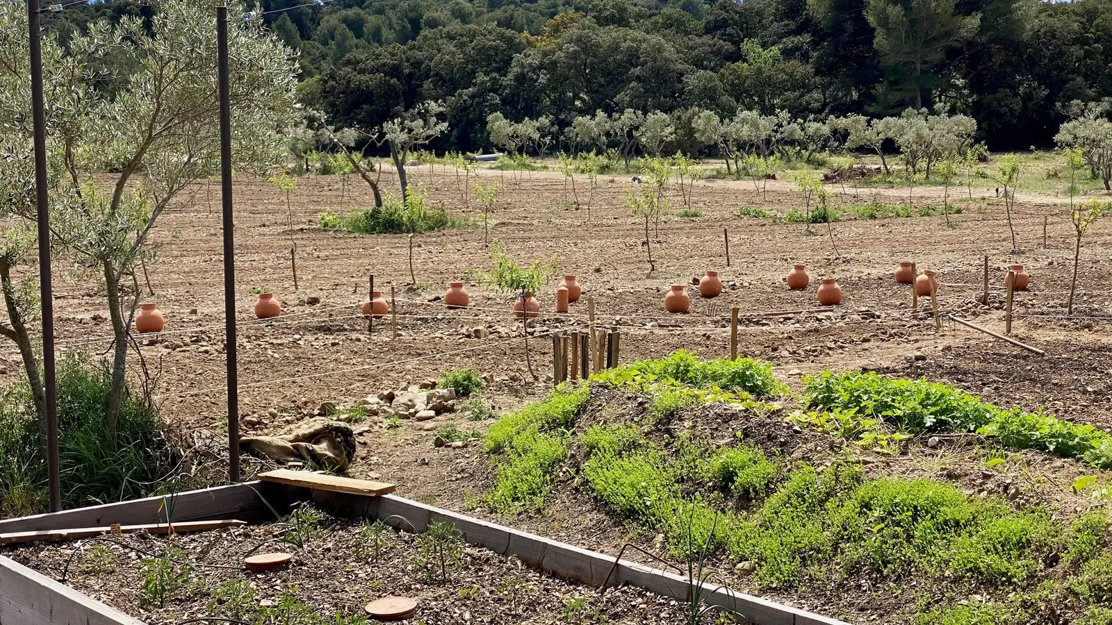 Domaine du Temps Perdu à Mouriès