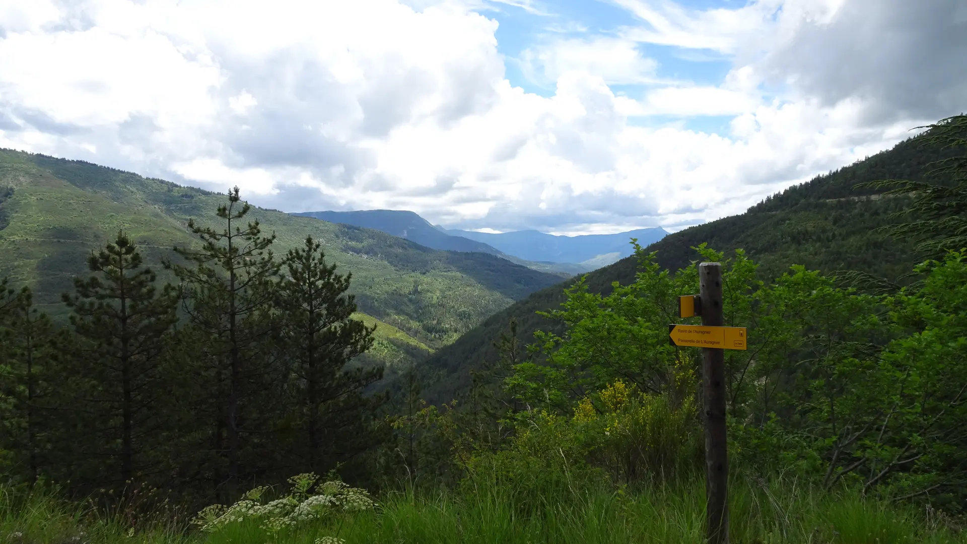 Le Coullet Saint André les Alpes