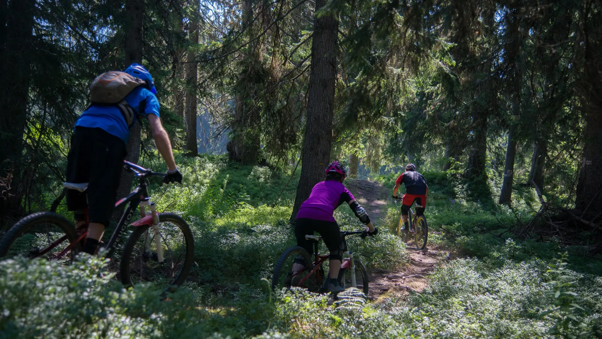 Single enduro en forêt