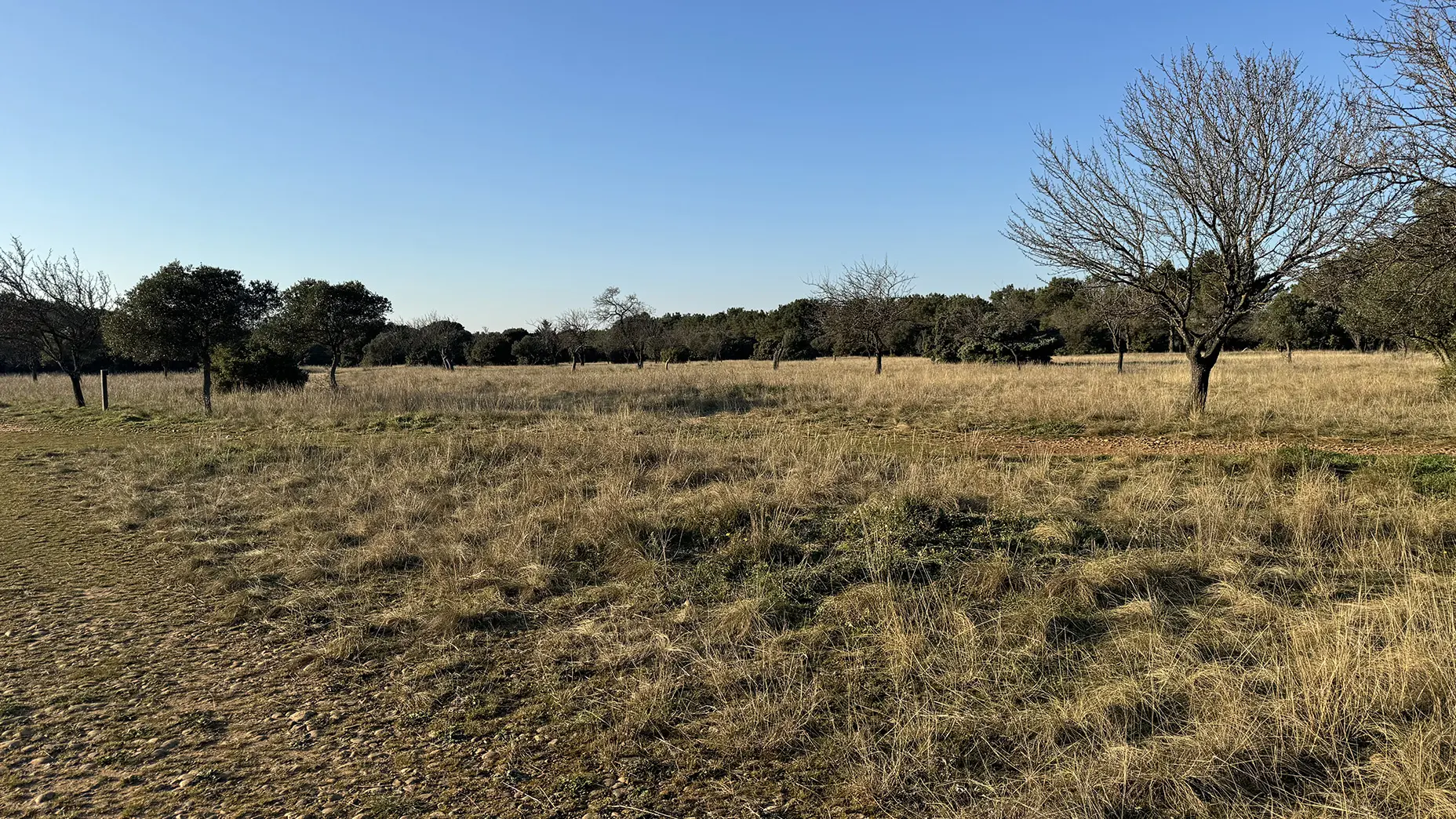 Plateau de la crau_Saint-Rémy-de-Provence