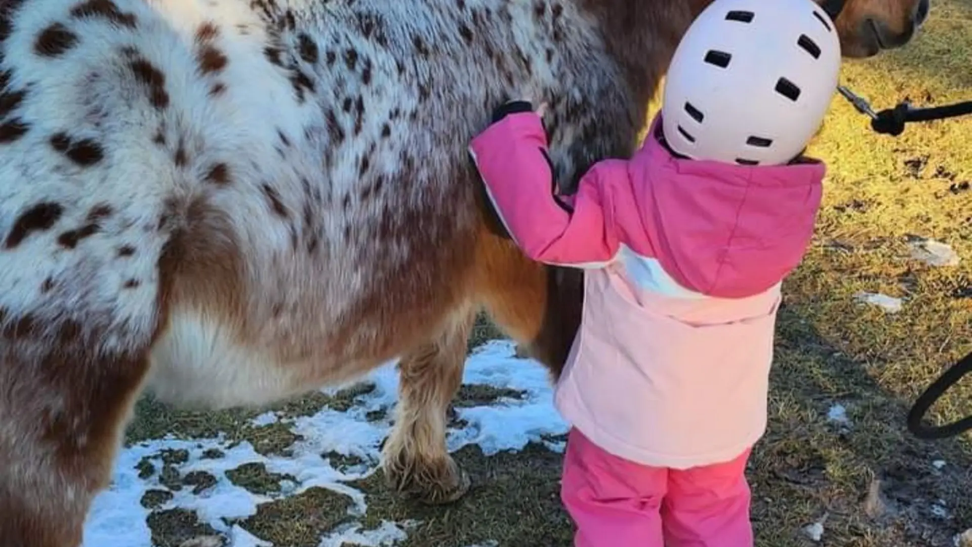 Calin au poney