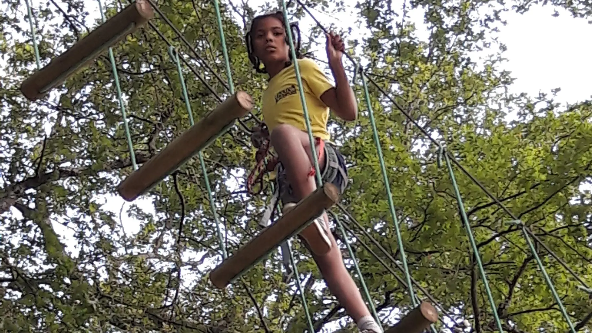 Pont de singe
