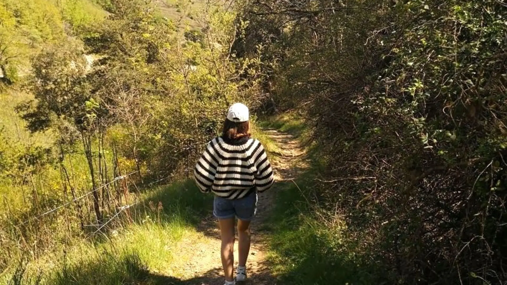 Sentier vers les Gorges de l'Ay