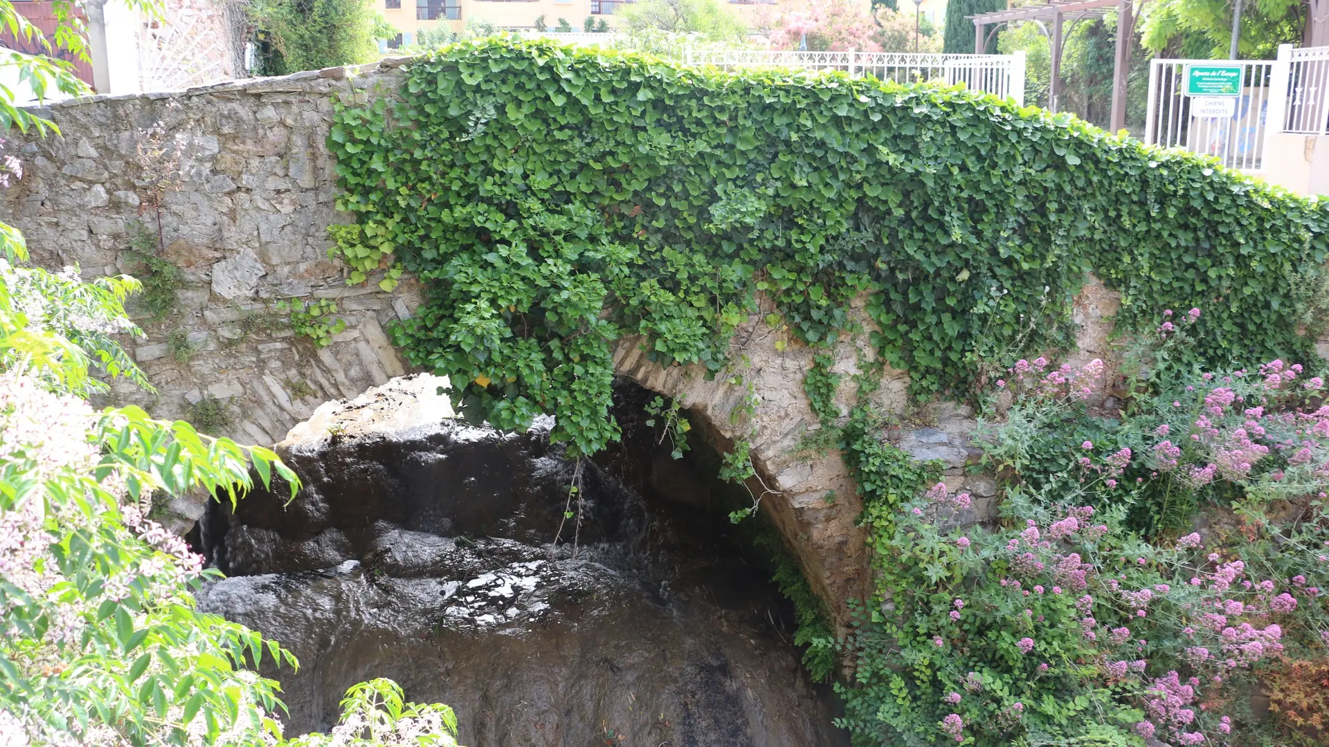 Pont St Cécile