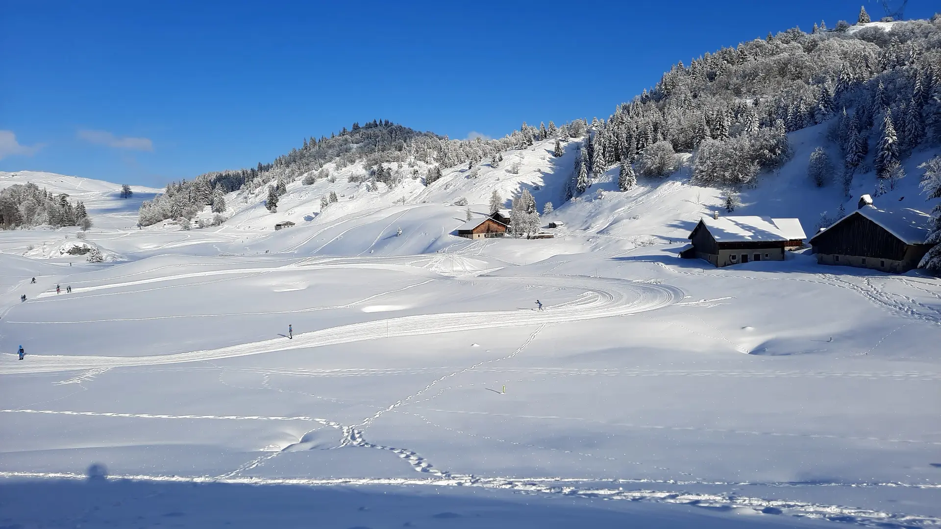 Boucle de la piste verte sur le Plateau de Plaine Joux, au milieu des chalets d'alpage