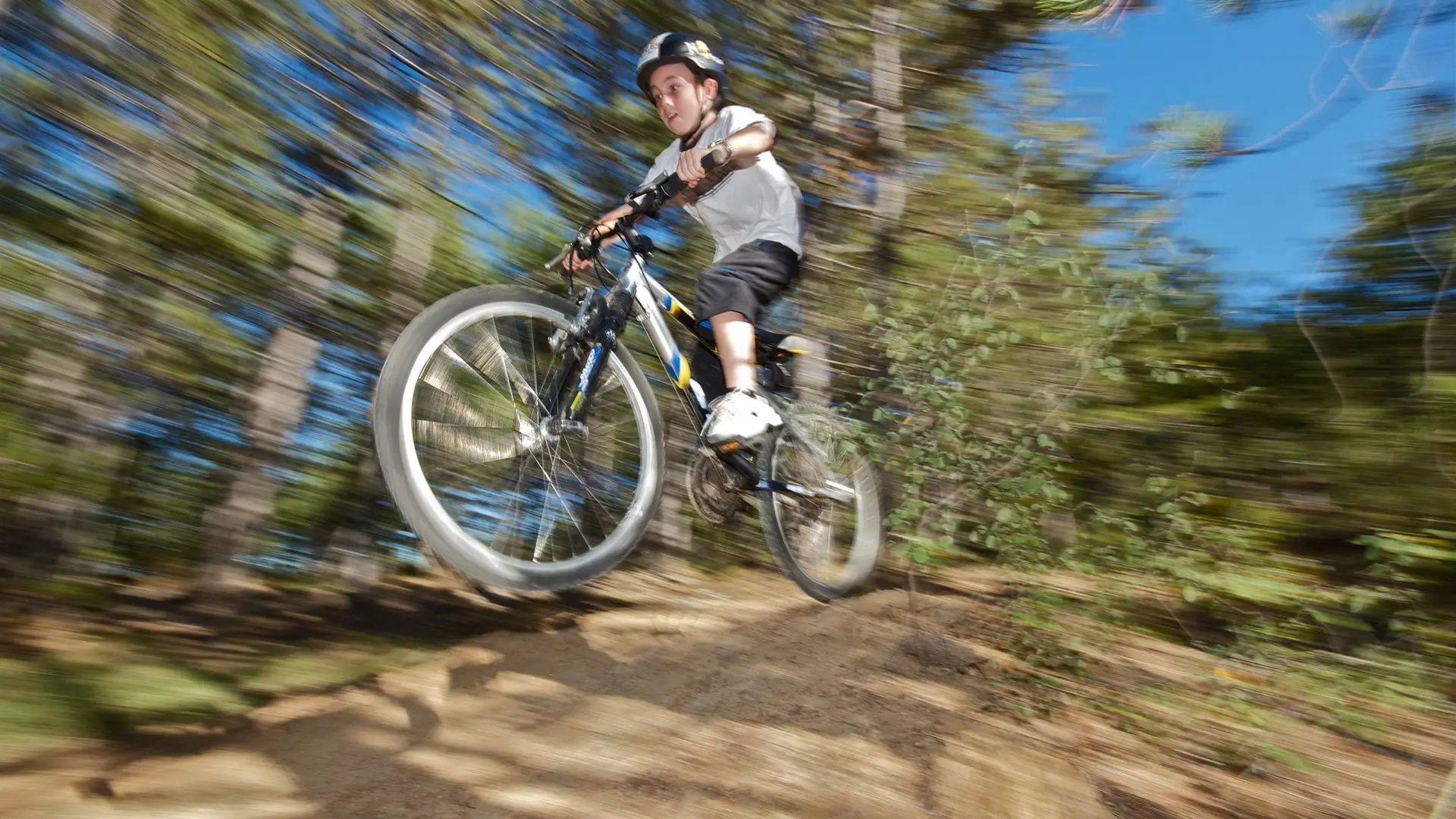 Dans le sous bois de Charembeau