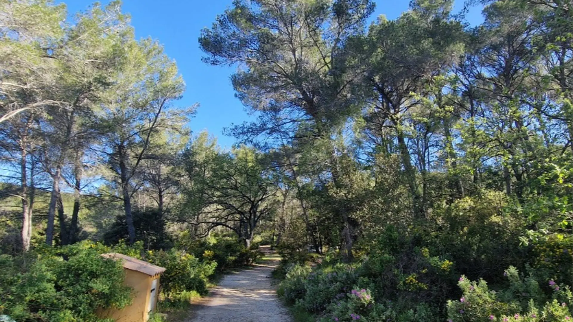 Début du sentier orné de flore méditerranéenne