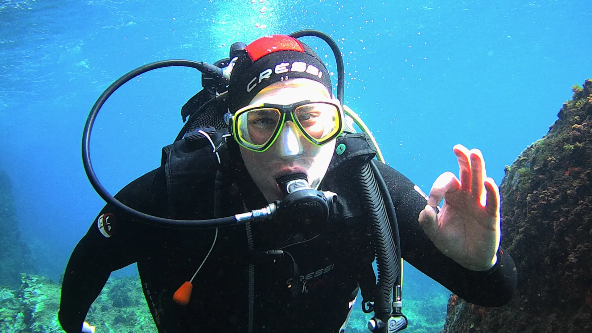 Les Bibis méditerranéens