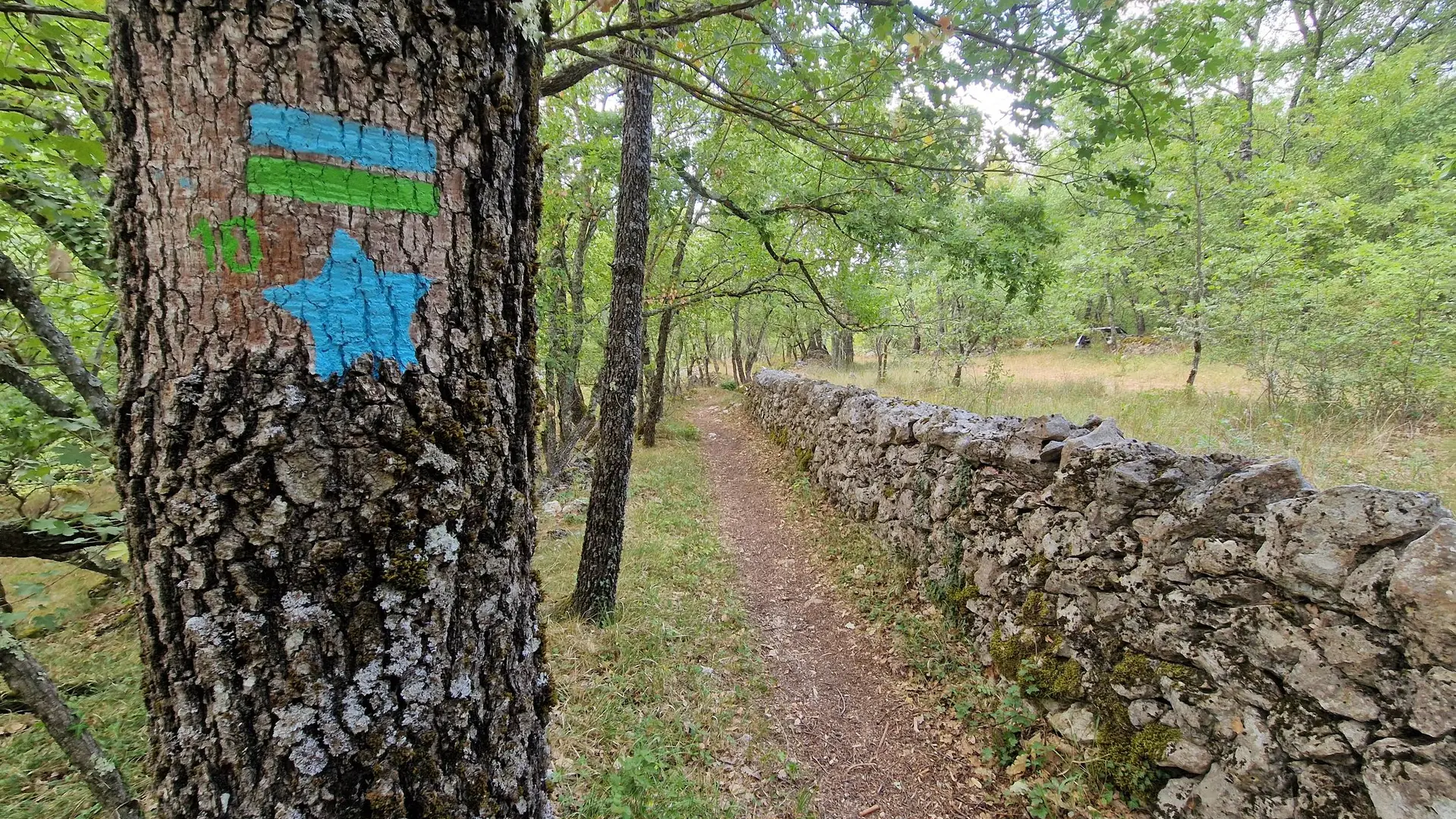 Balise étoile sur le sentier