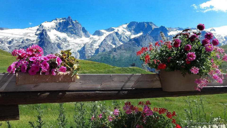 Vue sur la Meije depuis la terrasse - La Grave