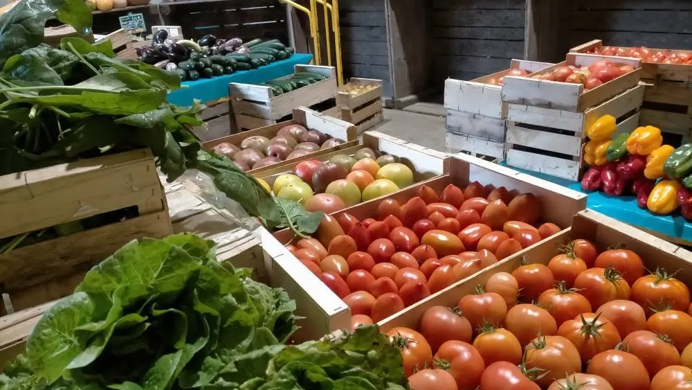 Cagettes épinards et tomates