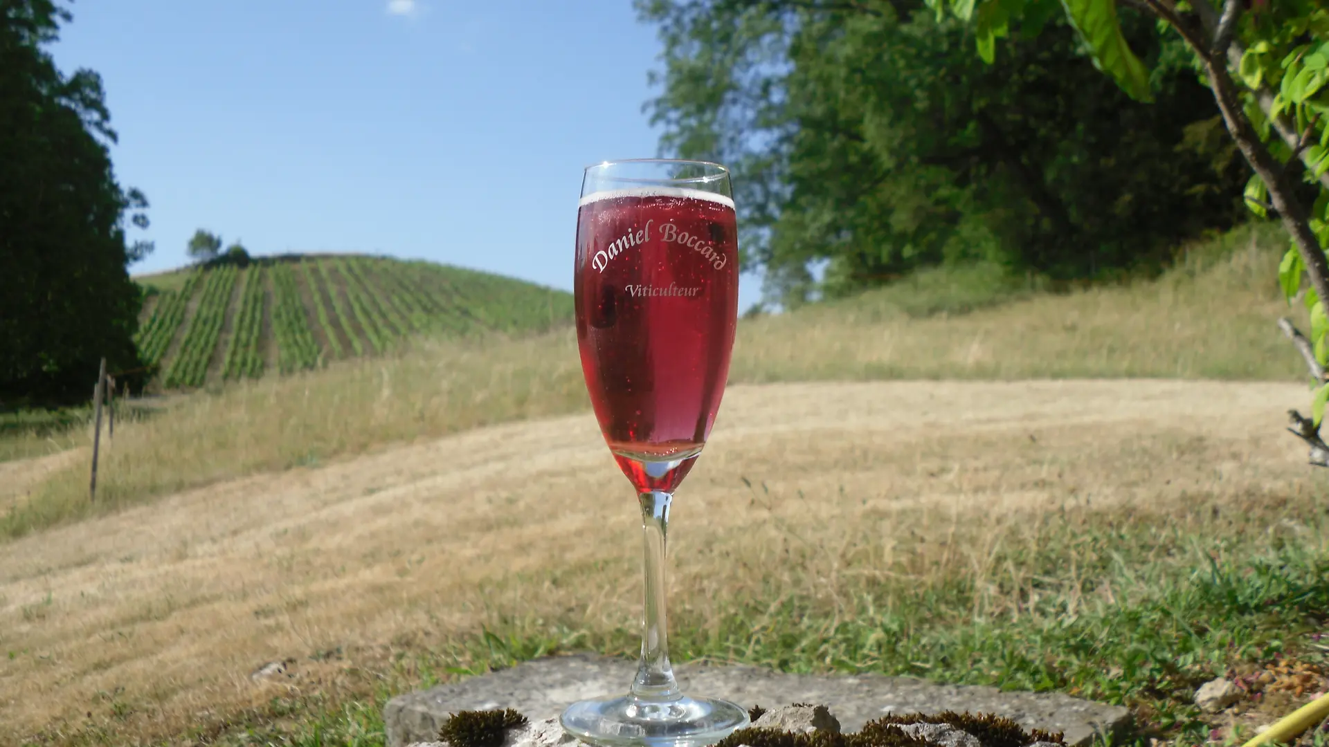 Domaine Viticole Daniel Boccard Propriétaire récoltant, Boyeux Saint Jérôme