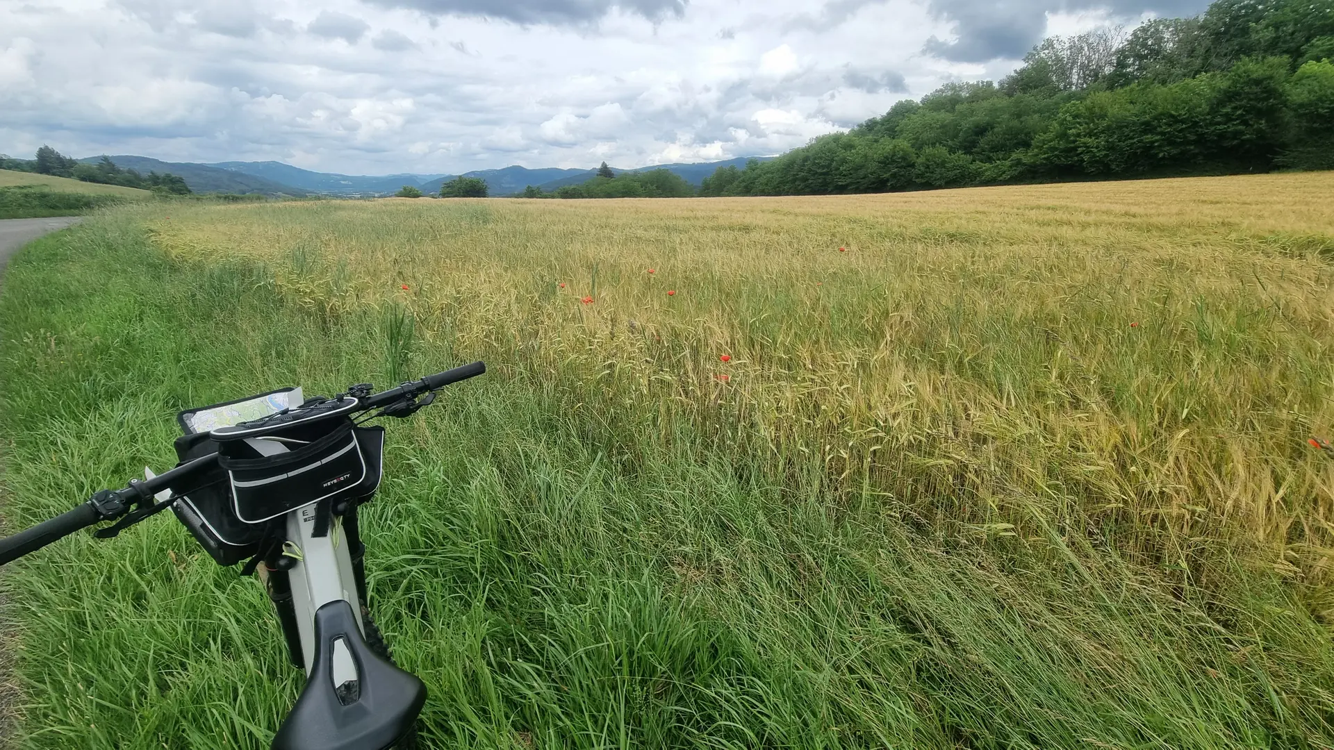 Liaison VTT (L2) Ceyzériat - Ile Chambod Gorges de l'Ain