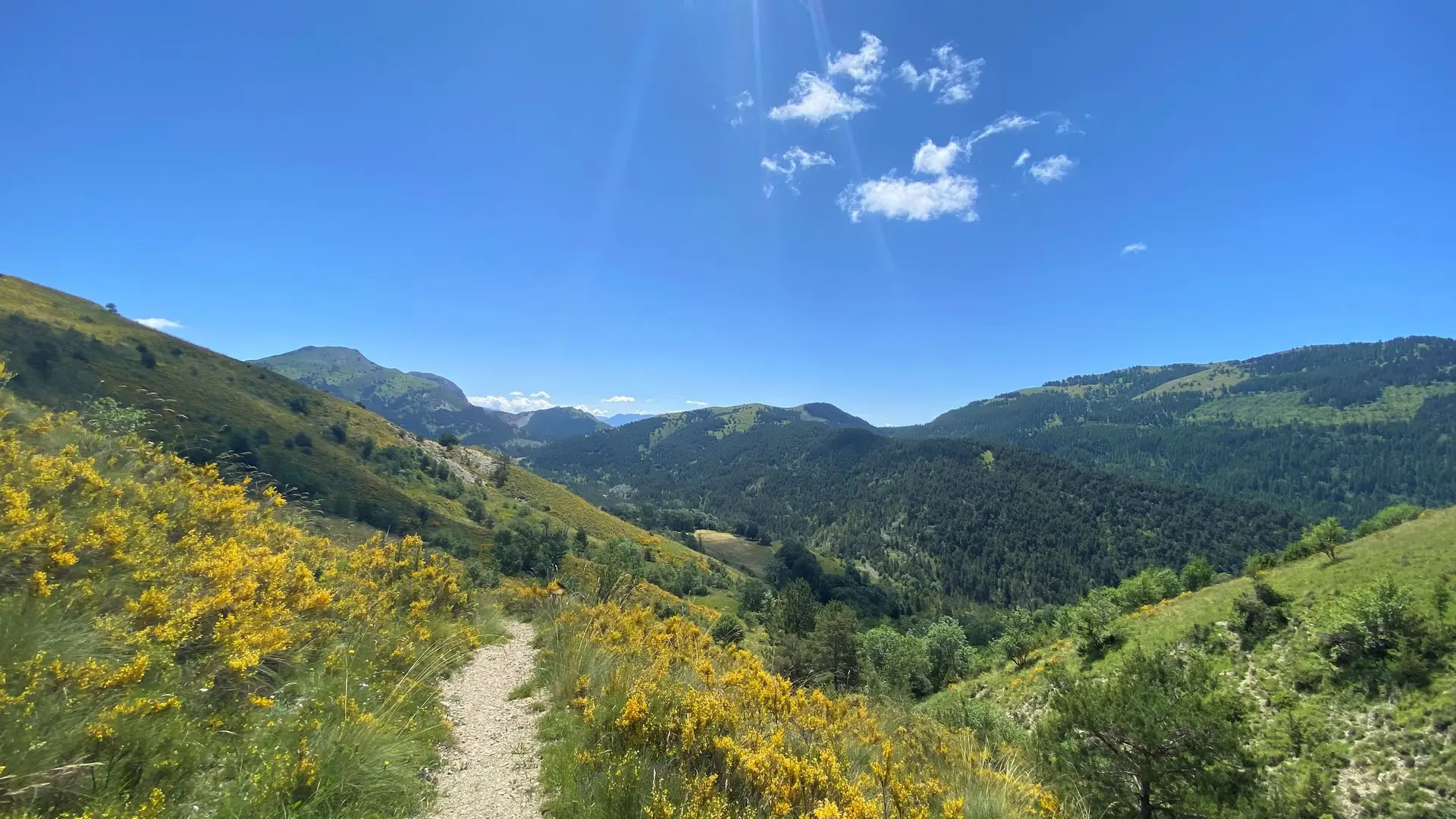 Le Sisteronais sauvage