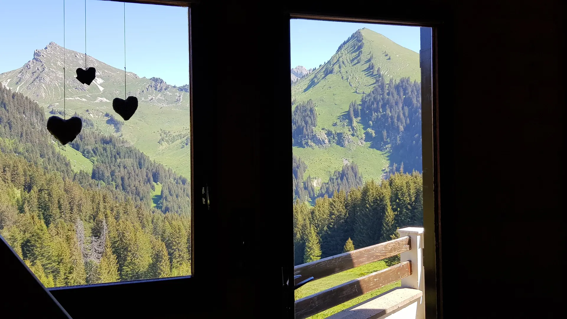 Vue depuis le chalet