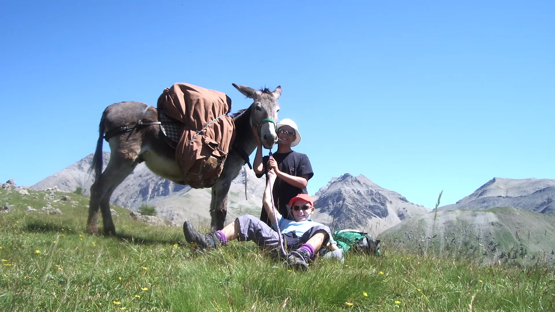 Balade avec ânes