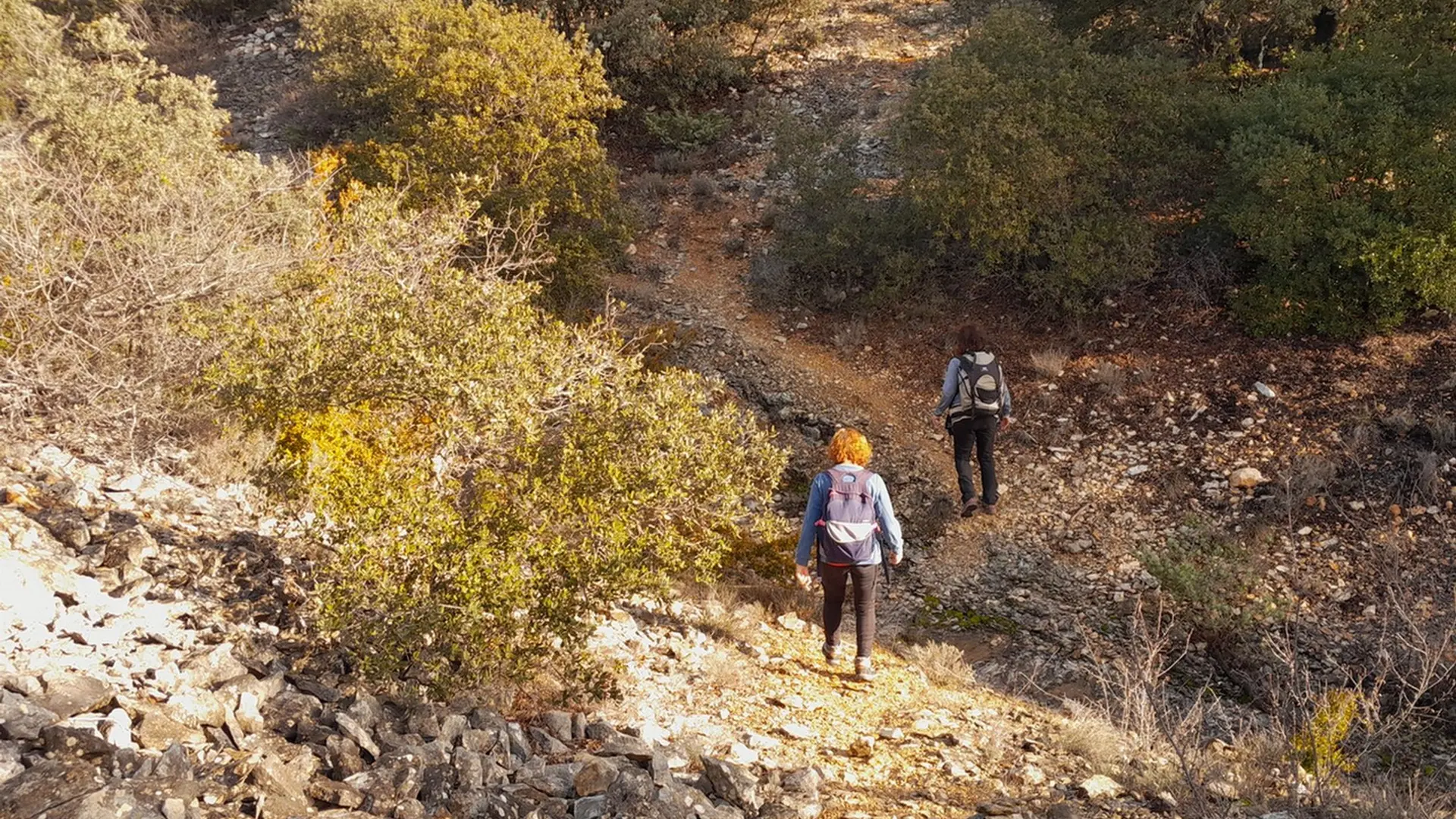 Sentier du vallon Counet
